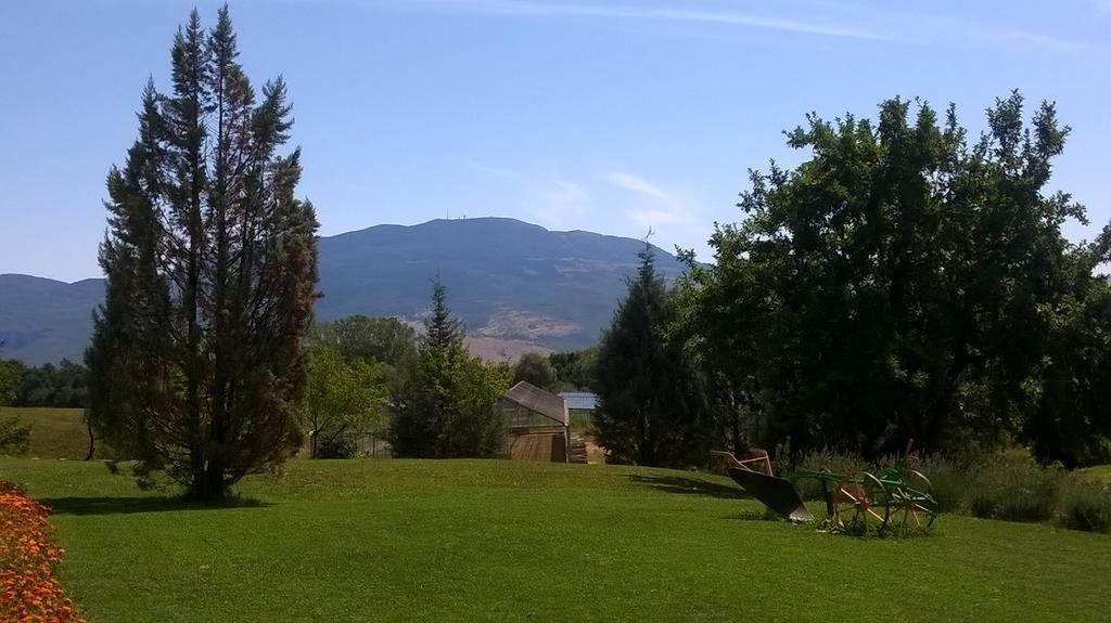 Agroturism Stara Stala Hotel Borut Exterior foto