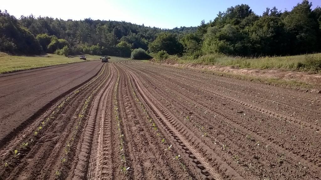 Agroturism Stara Stala Hotel Borut Exterior foto