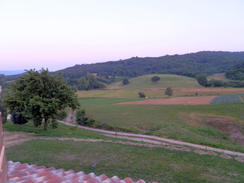 Agroturism Stara Stala Hotel Borut Quarto foto